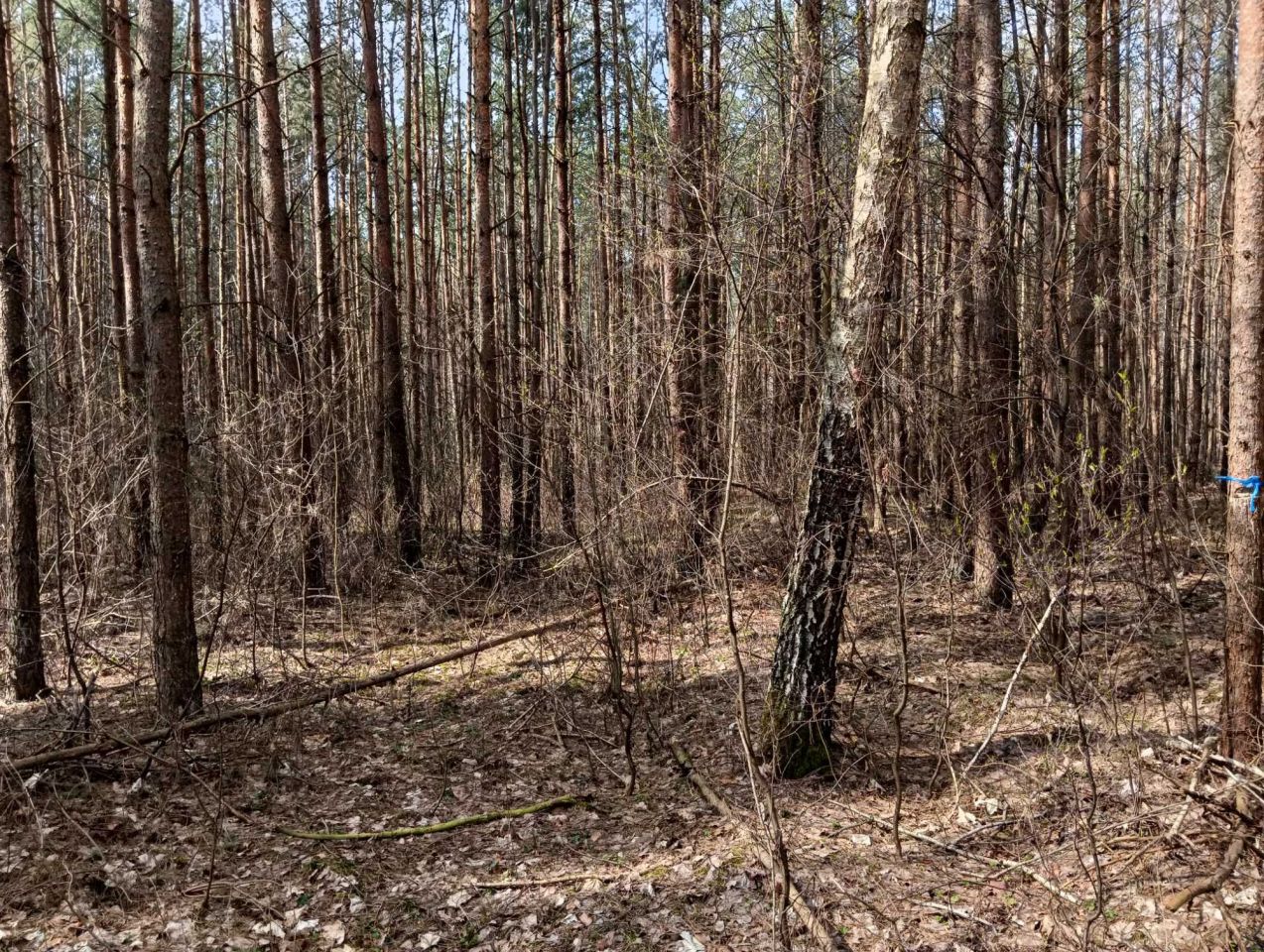 Działka rolno-budowlana Sobaków. Zdjęcie 5