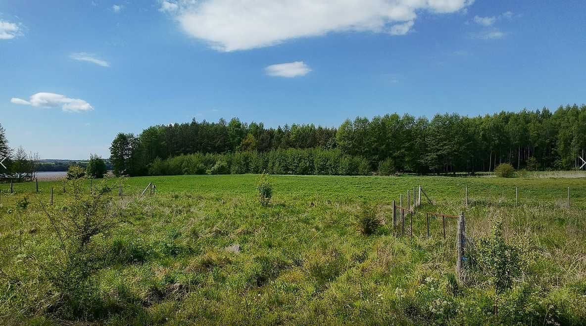 Działka rekreacyjna Blanki. Zdjęcie 3
