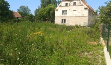 bliźniak Pichorowice