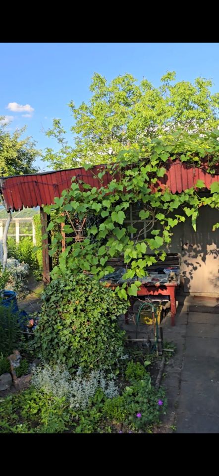 Działka rod Inowrocław Rąbin, Zapadle. Zdjęcie 8