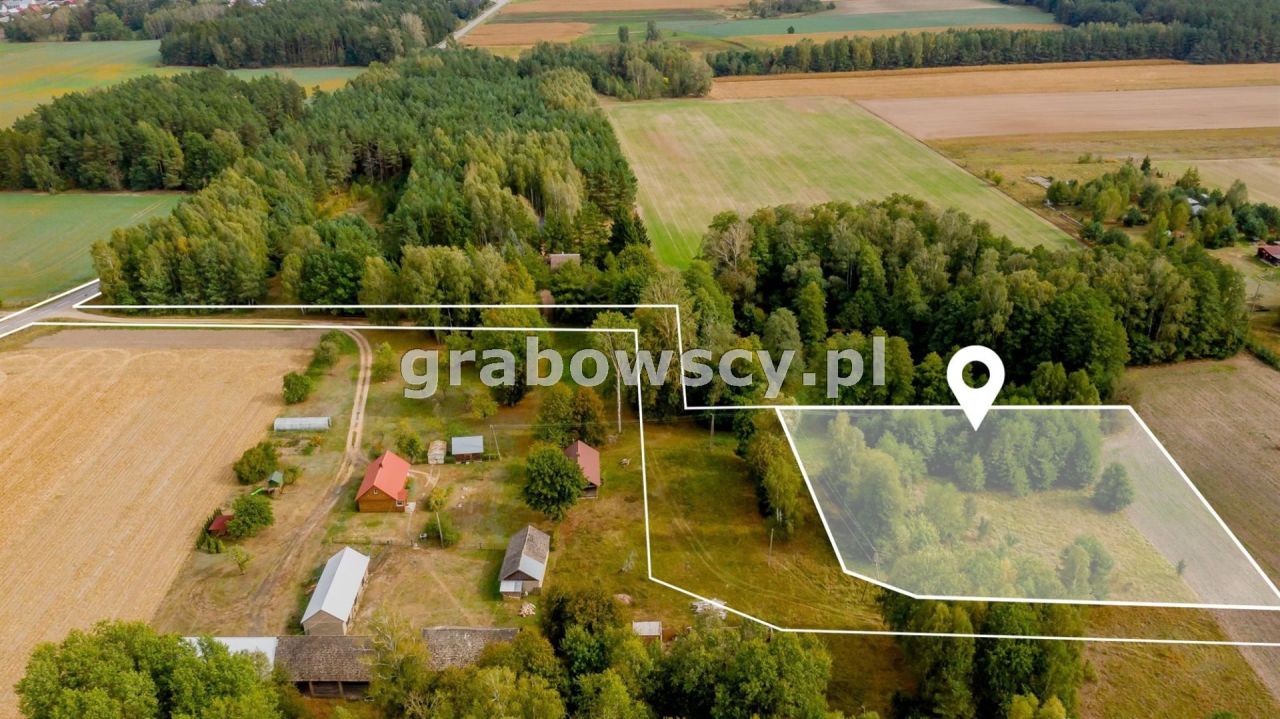 Działka rolna Wojszki. Zdjęcie 1
