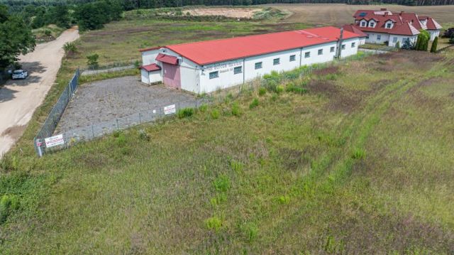 Lokal Brzeźnik. Zdjęcie 8