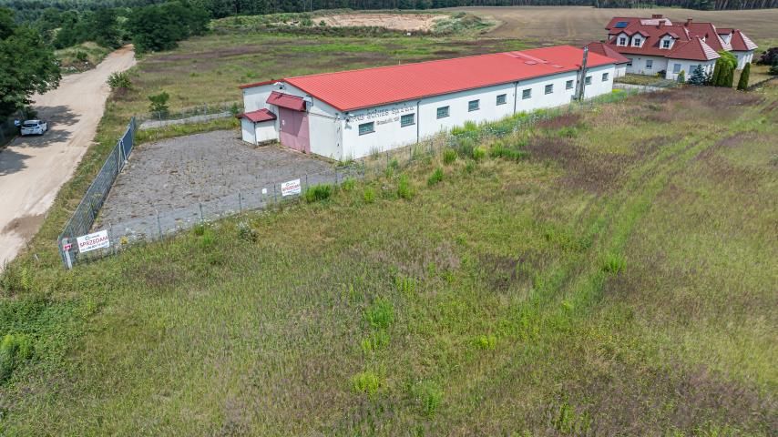 Lokal Brzeźnik. Zdjęcie 8