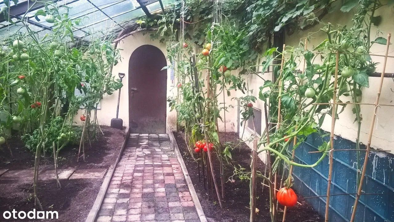 dom wolnostojący, 8 pokoi Polanica-Zdrój, ul. Zygmunta Krasińskiego. Zdjęcie 19