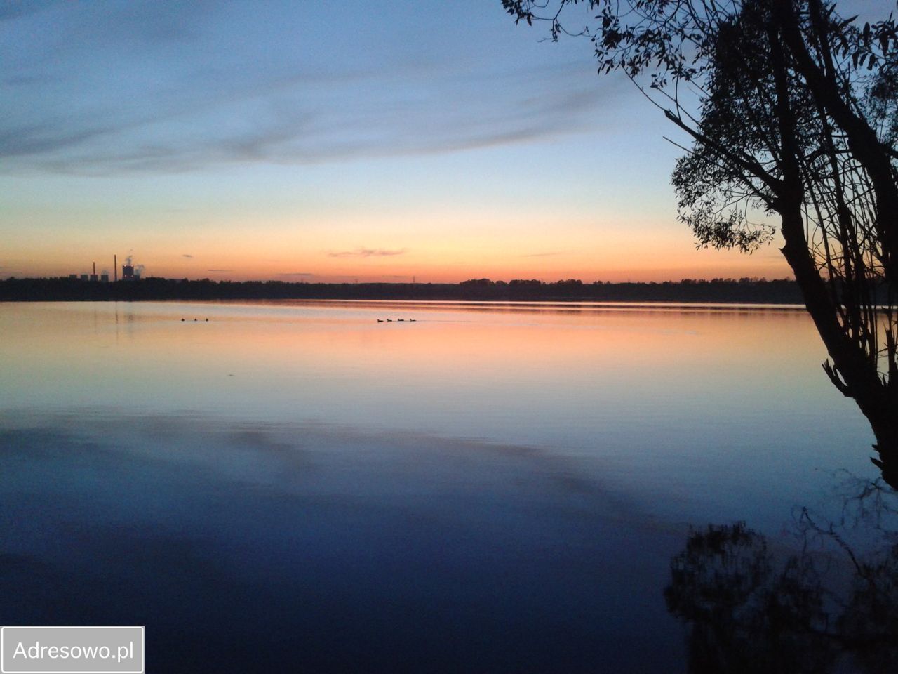 Działka budowlana Dąbrowa Górnicza Dziewiąty, ul. Marii Konopnickiej. Zdjęcie 8