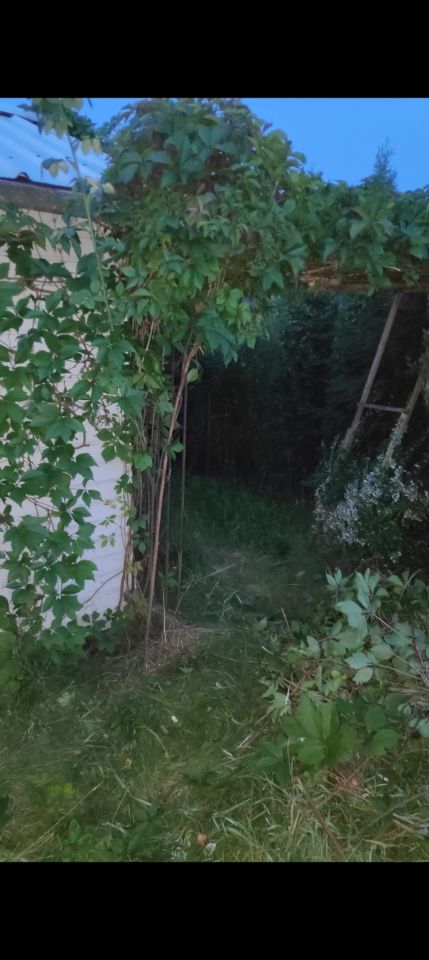Działka rod Łaziska Górne Łaziska Średnie, ul. Lipowa. Zdjęcie 5