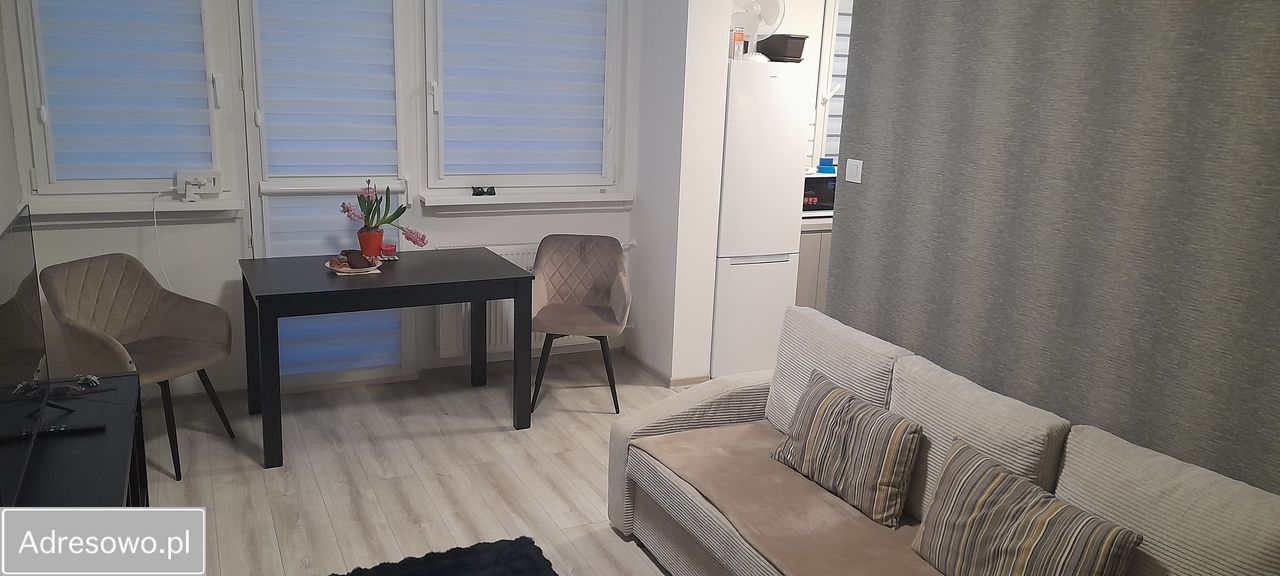 Mieszkanie 1-pokojowe Jelenia Góra Centrum, ul. Ptasia. Zdjęcie 3