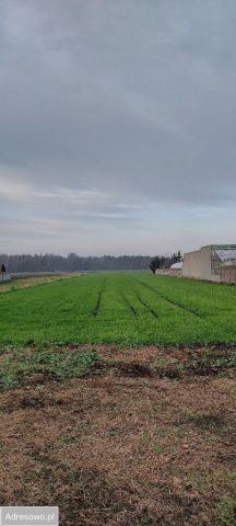 Działka budowlana Miejska Górka. Zdjęcie 1