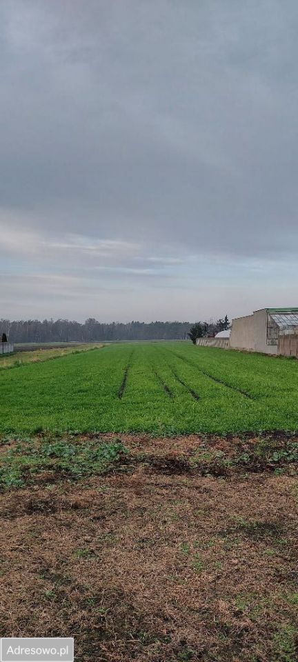 Działka budowlana Miejska Górka