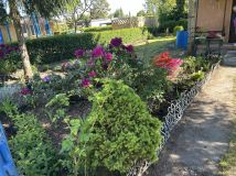 Działka rod Łódź Bałuty, ul. Sianokosy. Zdjęcie 4