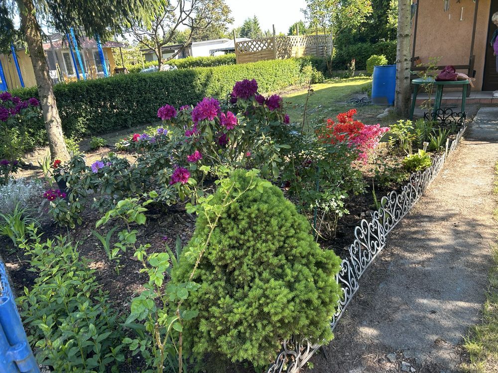 Działka rod Łódź Bałuty, ul. Sianokosy. Zdjęcie 5