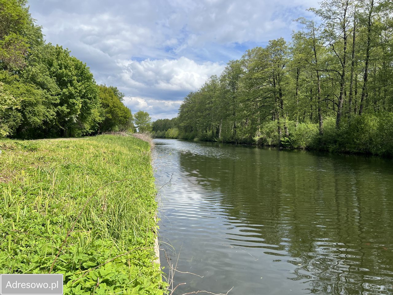 Działka rod Augustów, ul. Śliwkowa. Zdjęcie 8