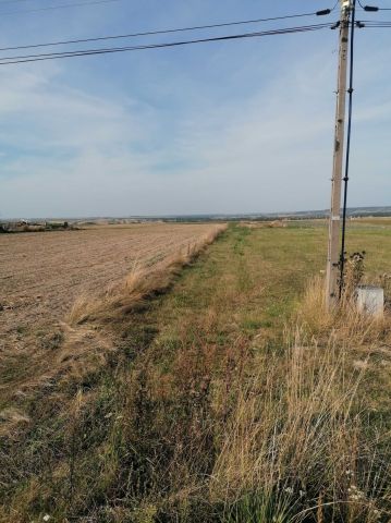 Działka rolno-budowlana Michałów Betlejem. Zdjęcie 1