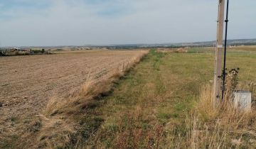 Działka rolno-budowlana Michałów Betlejem