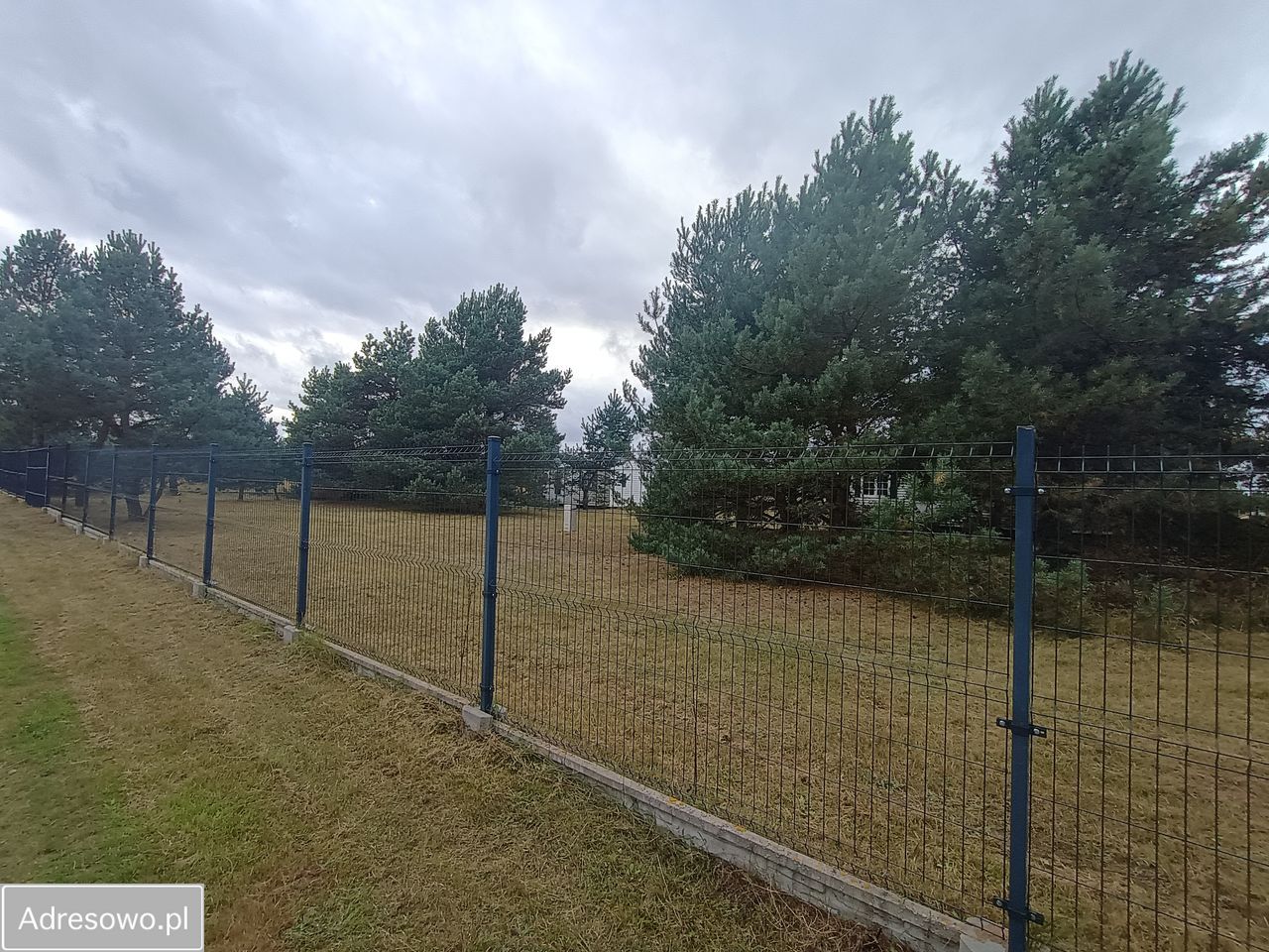 Działka rekreacyjna Drzonowo. Zdjęcie 17