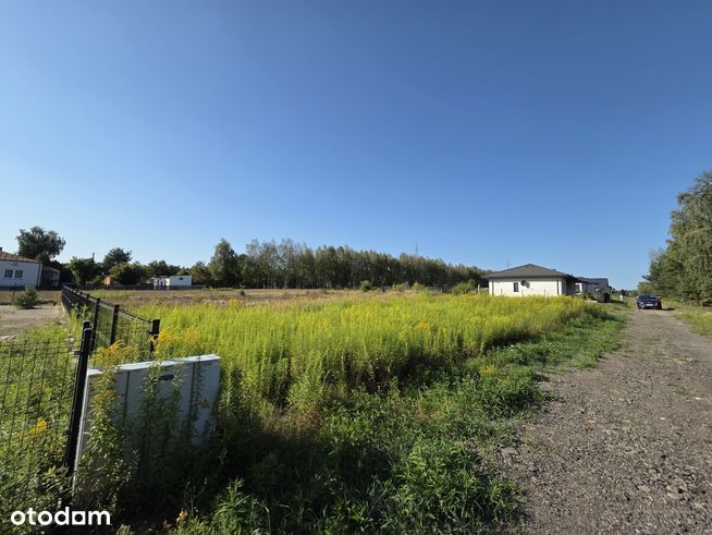 Działka budowlana Zalesie