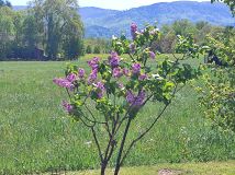 Działka budowlana Ustroń Hermanice, ul. Jana Sztwiertni. Zdjęcie 3