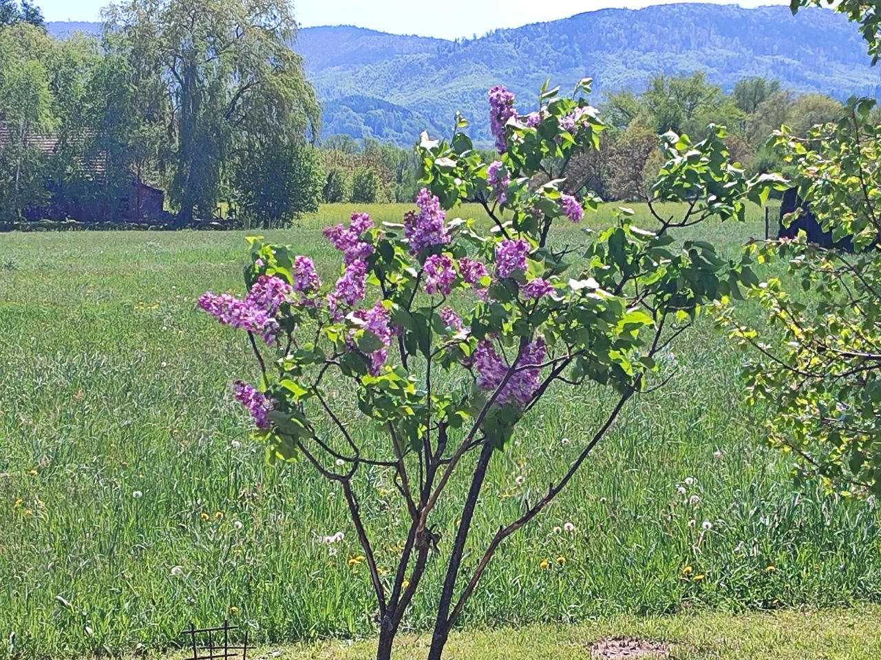Działka budowlana Ustroń Hermanice, ul. Jana Sztwiertni. Zdjęcie 4