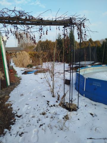 Działka rod Jaworzno Niedzieliska. Zdjęcie 1