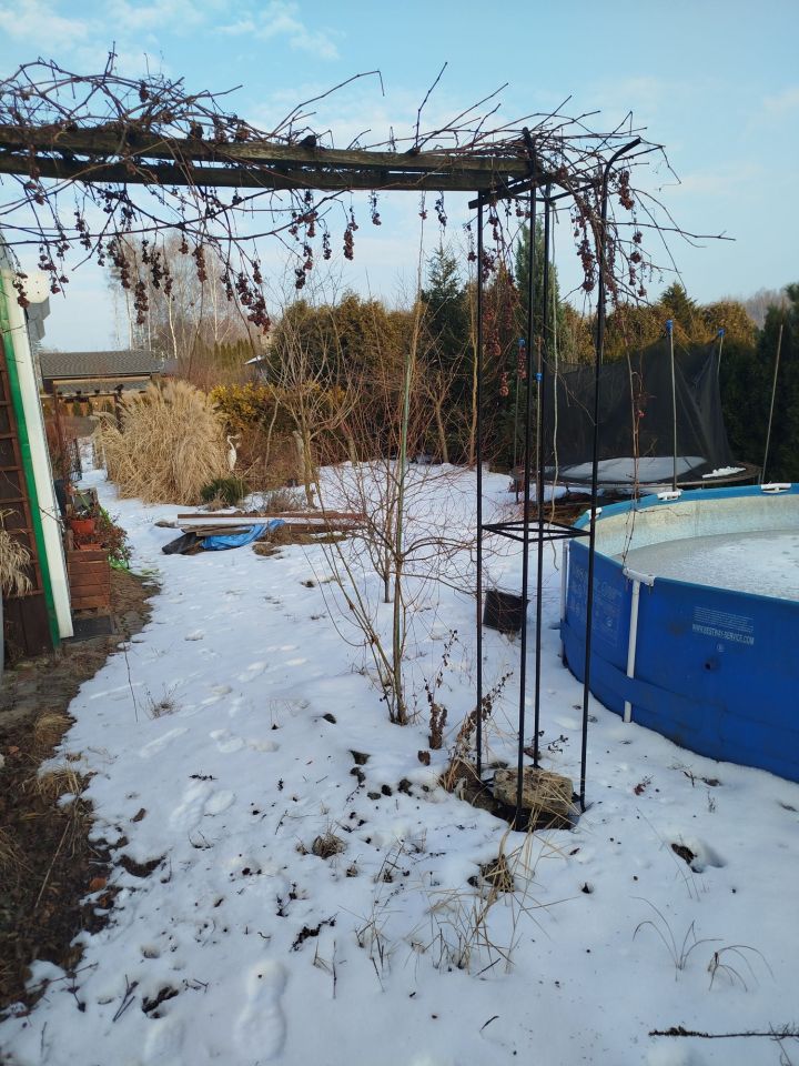 Działka rod Jaworzno Niedzieliska. Zdjęcie 1