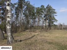 Działka budowlana Bojmie, ul. Lipowa. Zdjęcie 1