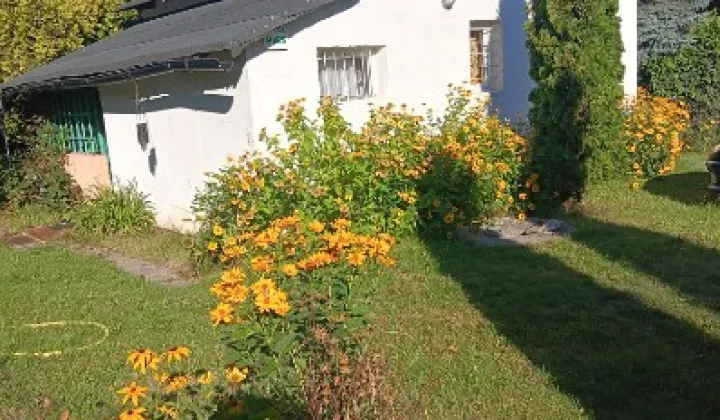 Działka rod Przyborowice Górne