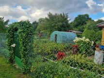 Działka rod Żagań. Zdjęcie 1