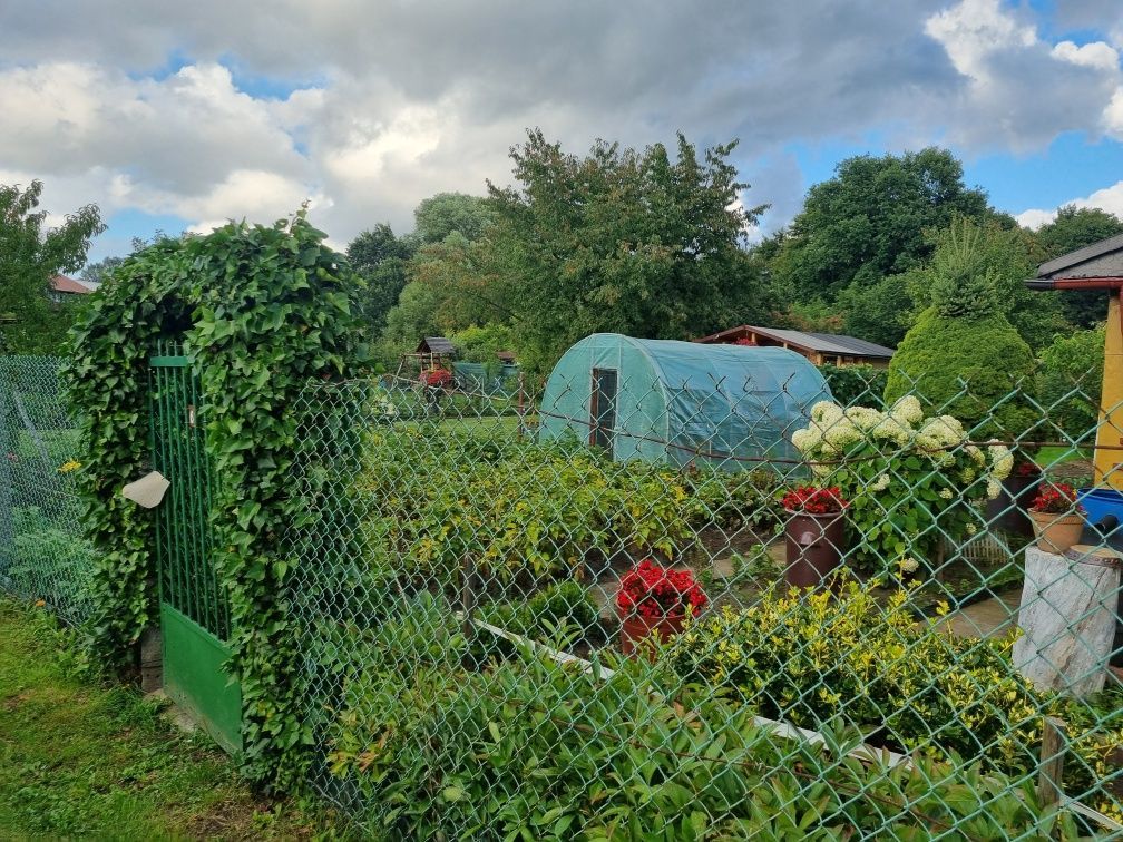 Działka rod Żagań. Zdjęcie 2