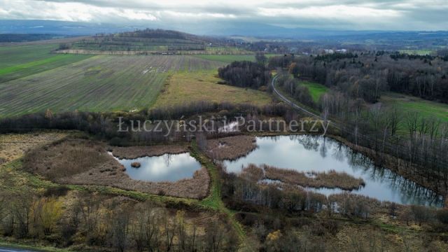 Działka rolna Krzewie Wielkie. Zdjęcie 3