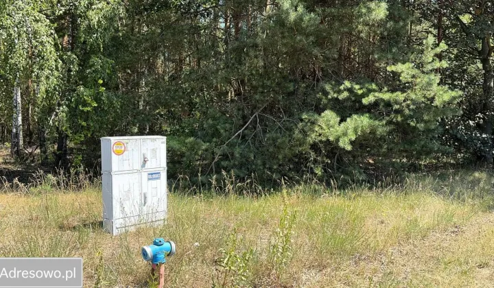Działka rolna Ciosny