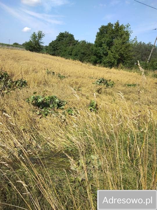 Działka Sobota. Zdjęcie 2