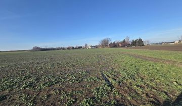 Działka rolno-budowlana Konradówka Gołaczów