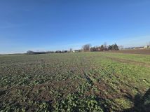 Działka rolno-budowlana Konradówka Gołaczów. Zdjęcie 1