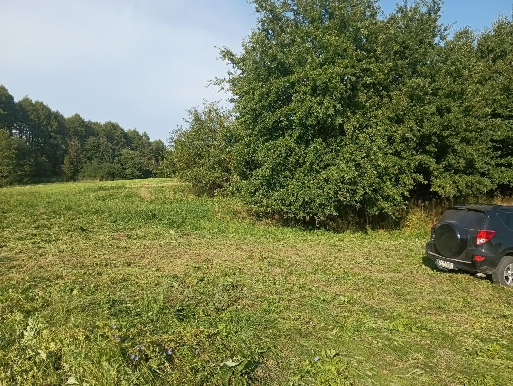 Działka siedliskowa Błażowa