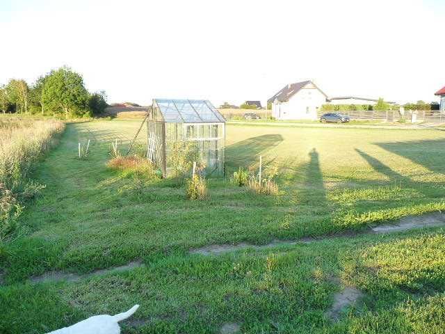 Działka rolno-budowlana Gołańcz Pomorska. Zdjęcie 3