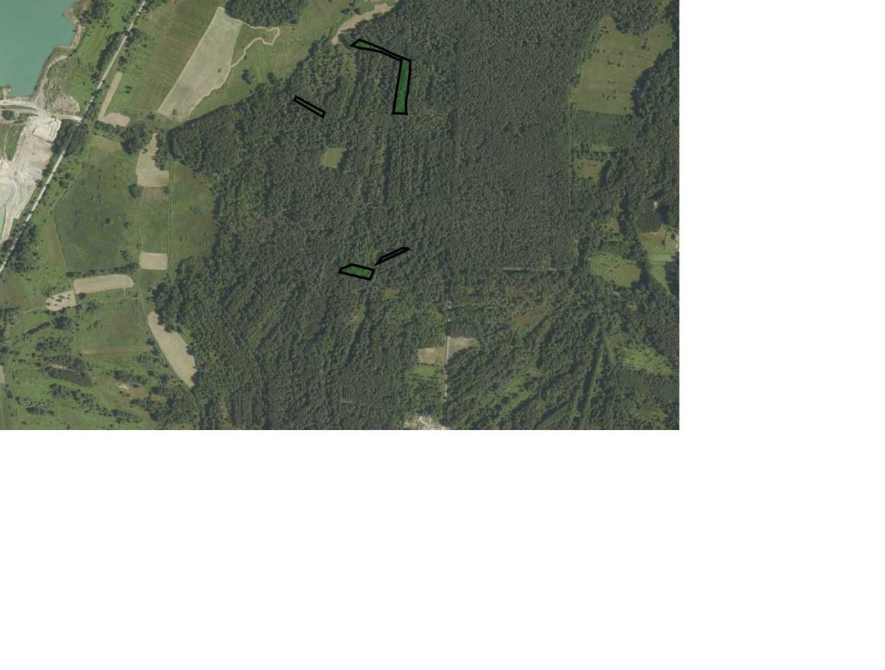 Działka leśna Bielcza. Zdjęcie 7