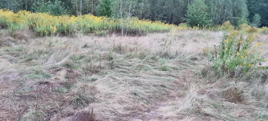 Działka budowlana Owczarnia. Zdjęcie 5