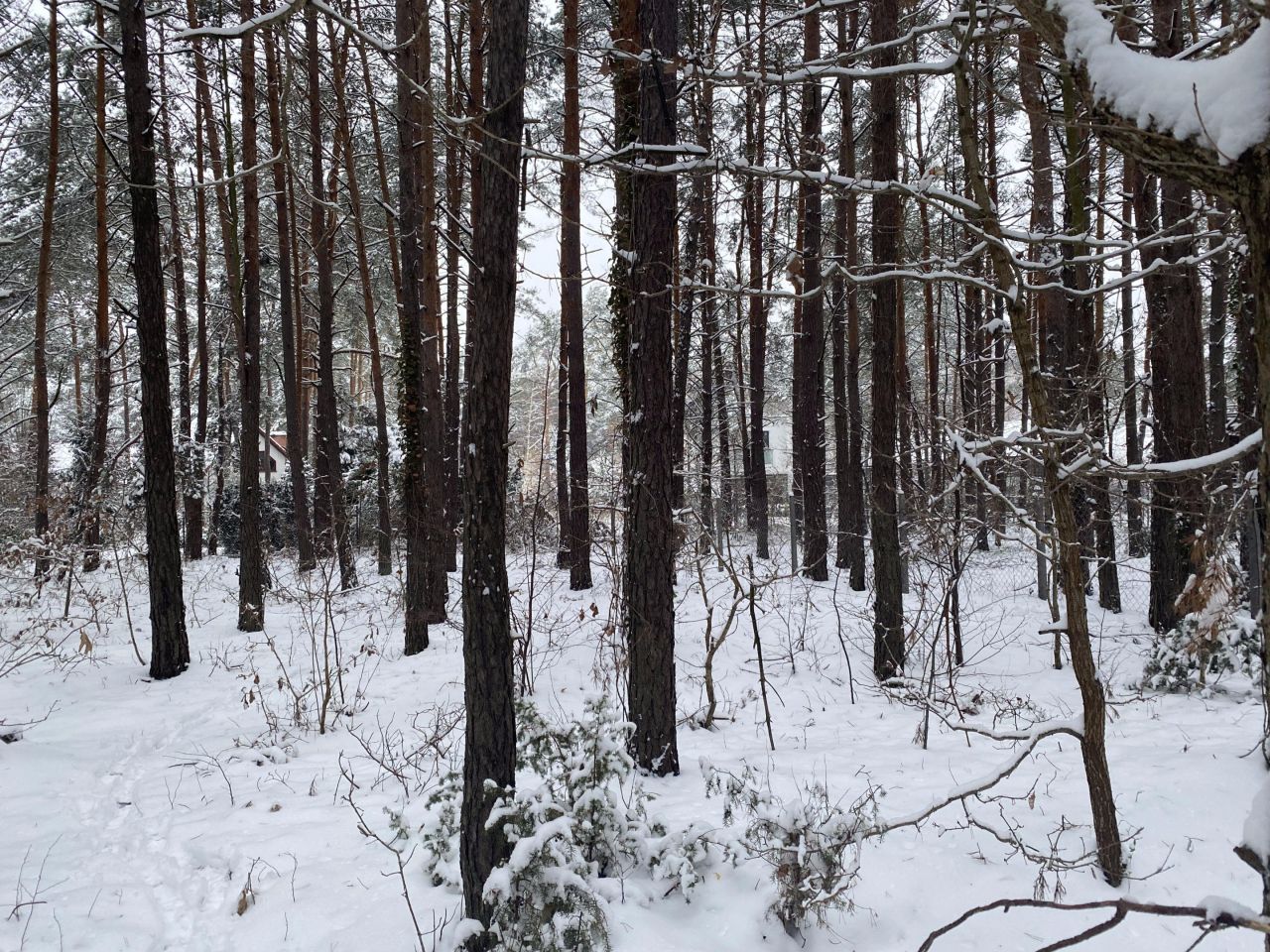 Działka budowlana Izabelin C, ul. Mariana Langiewicza. Zdjęcie 3
