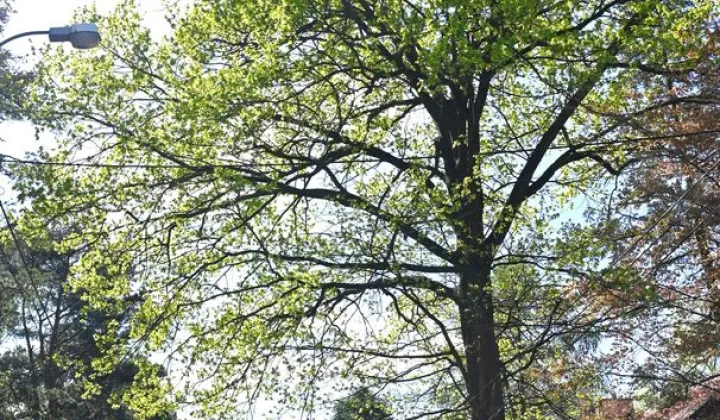 Działka inwestycyjna Warszawa Bemowo, ul. Michała Sobczaka