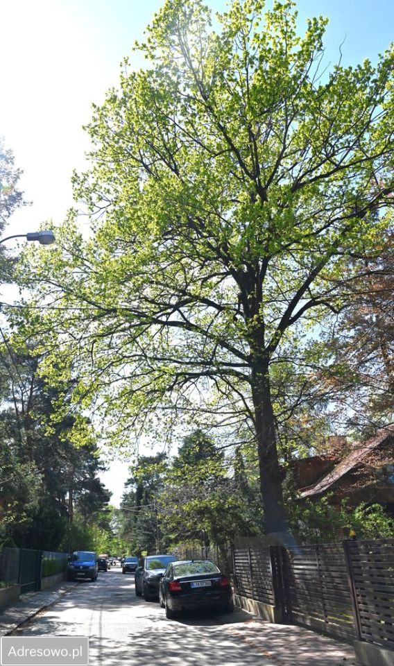 Działka inwestycyjna Warszawa Bemowo, ul. Michała Sobczaka. Zdjęcie 1