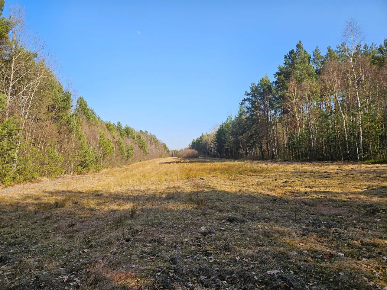 Działka rolna Jeżów. Zdjęcie 2
