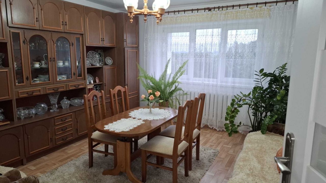 1-soban stan, 53 m²