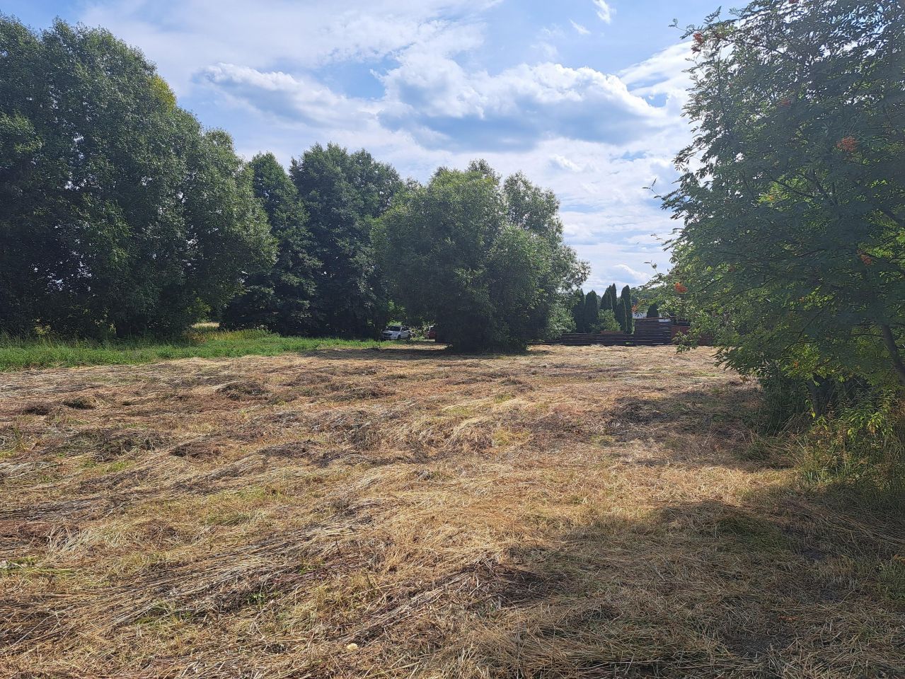 Działka budowlana Zielona Góra Drzonków, ul. Drzonków-Olimpijska. Zdjęcie 10
