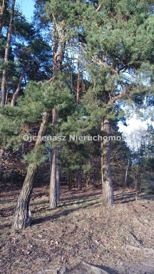 Działka budowlana Osielsko. Zdjęcie 4