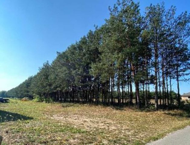 Działka budowlana Krzywdy. Zdjęcie 1