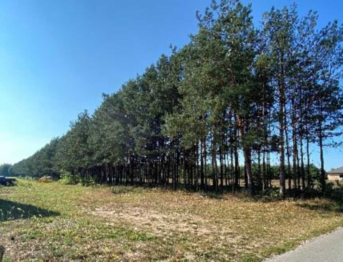 Działka budowlana Krzywdy