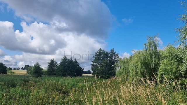 Działka rolna Sianożęty. Zdjęcie 5