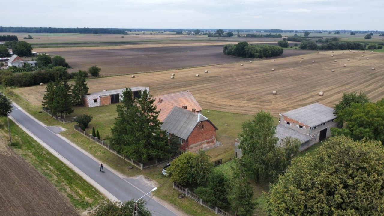 siedlisko Pruszcz. Zdjęcie 6