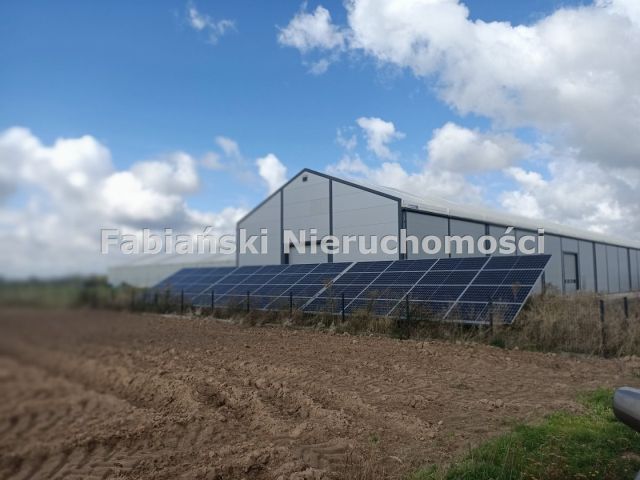 Działka inwestycyjna Mrowino. Zdjęcie 3