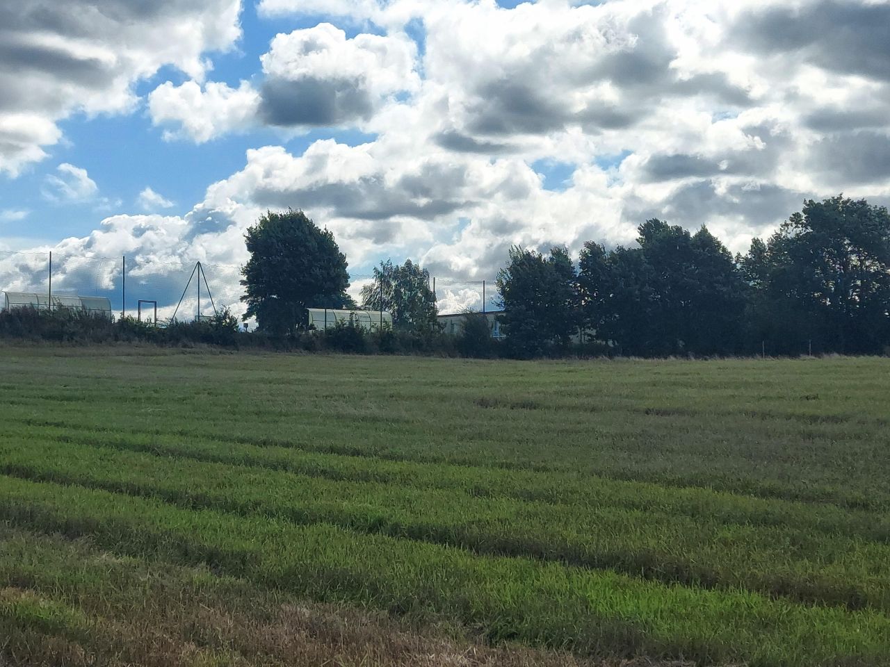 Działka siedliskowa Malechowo. Zdjęcie 6